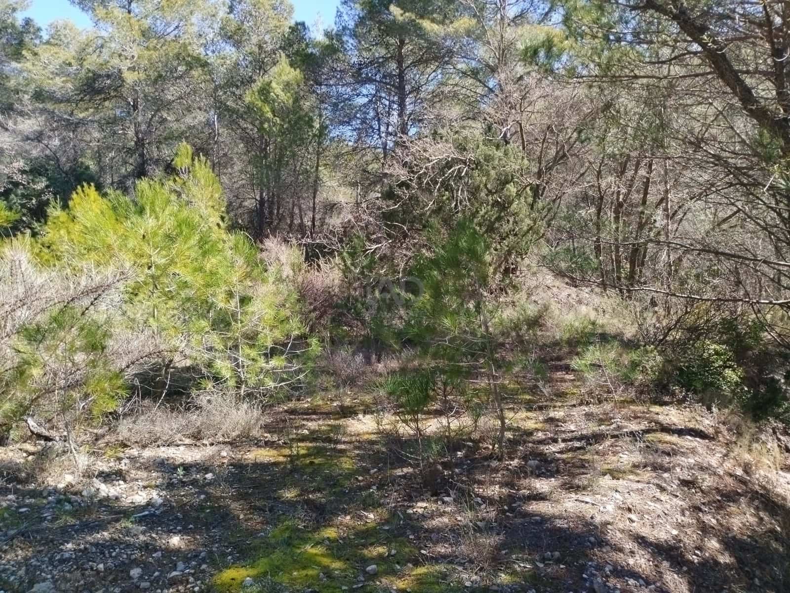 Mark till salu i La Morera de Montsant - 156 000 € (Ref: 9989162)