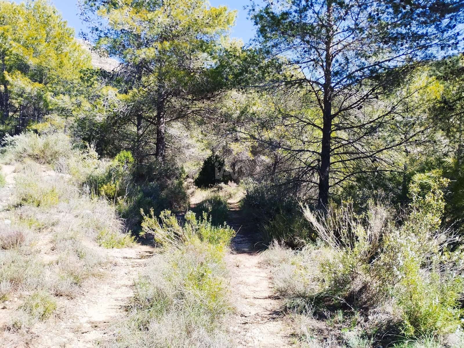 Mark till salu i La Morera de Montsant - 156 000 € (Ref: 9989162)