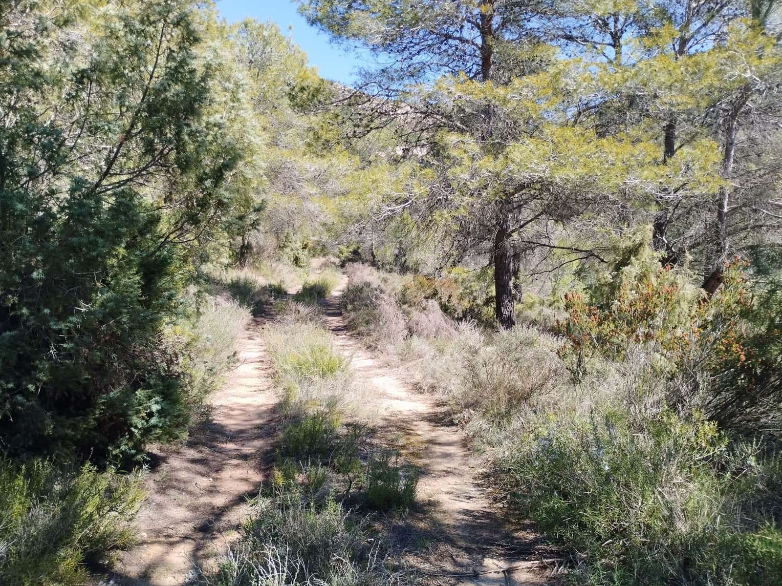 Mark till salu i La Morera de Montsant - 156 000 € (Ref: 9989162)