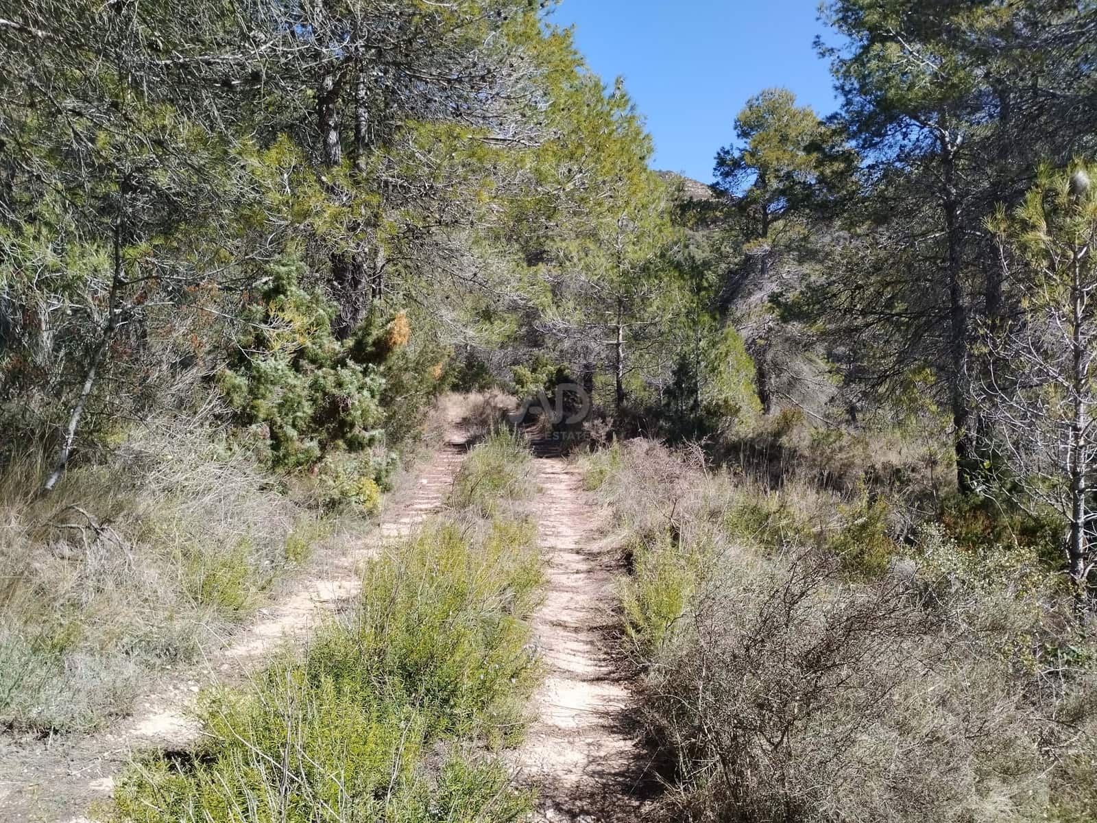 Mark till salu i La Morera de Montsant - 156 000 € (Ref: 9989162)