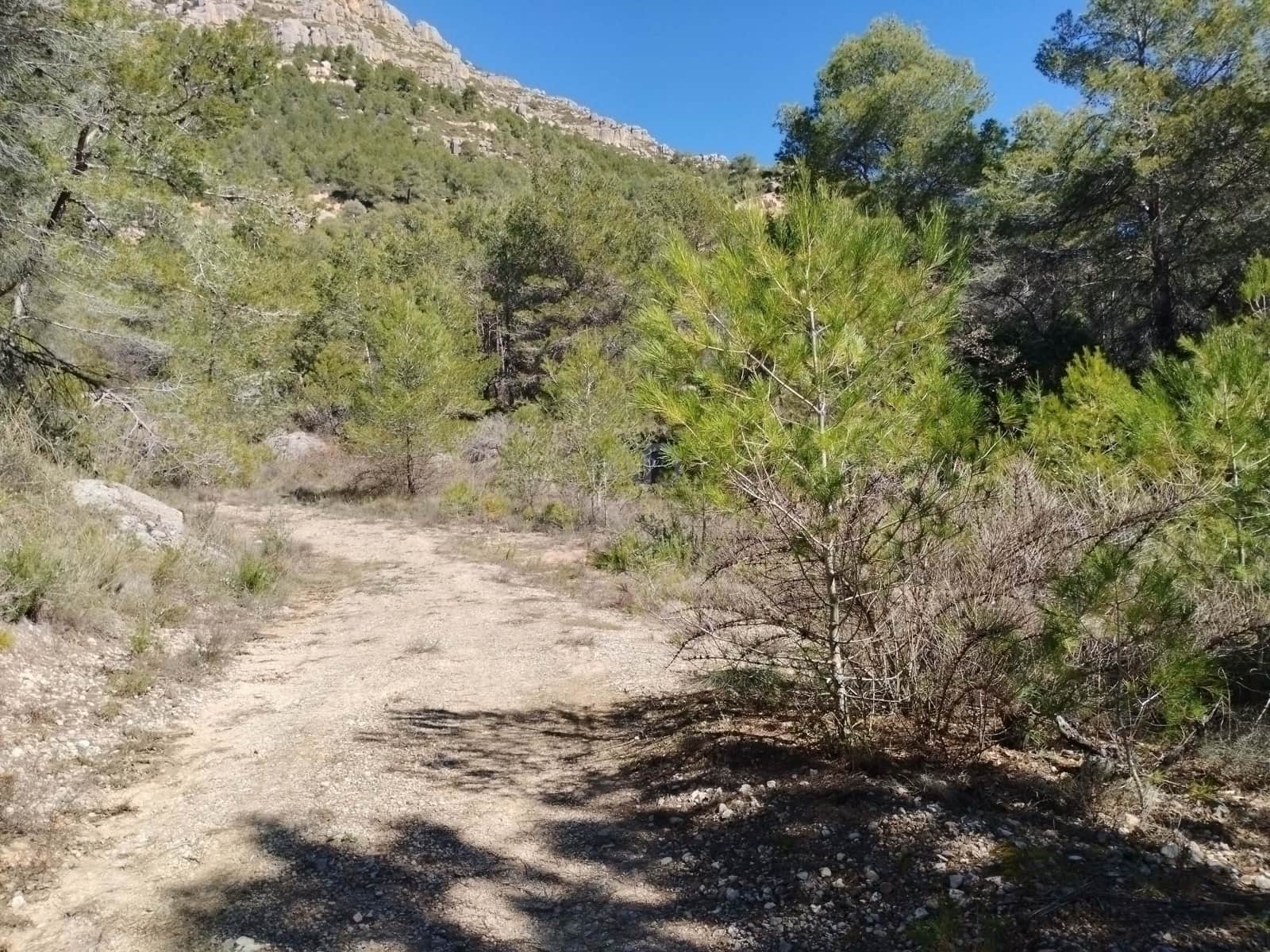 Mark till salu i La Morera de Montsant - 156 000 € (Ref: 9989162)