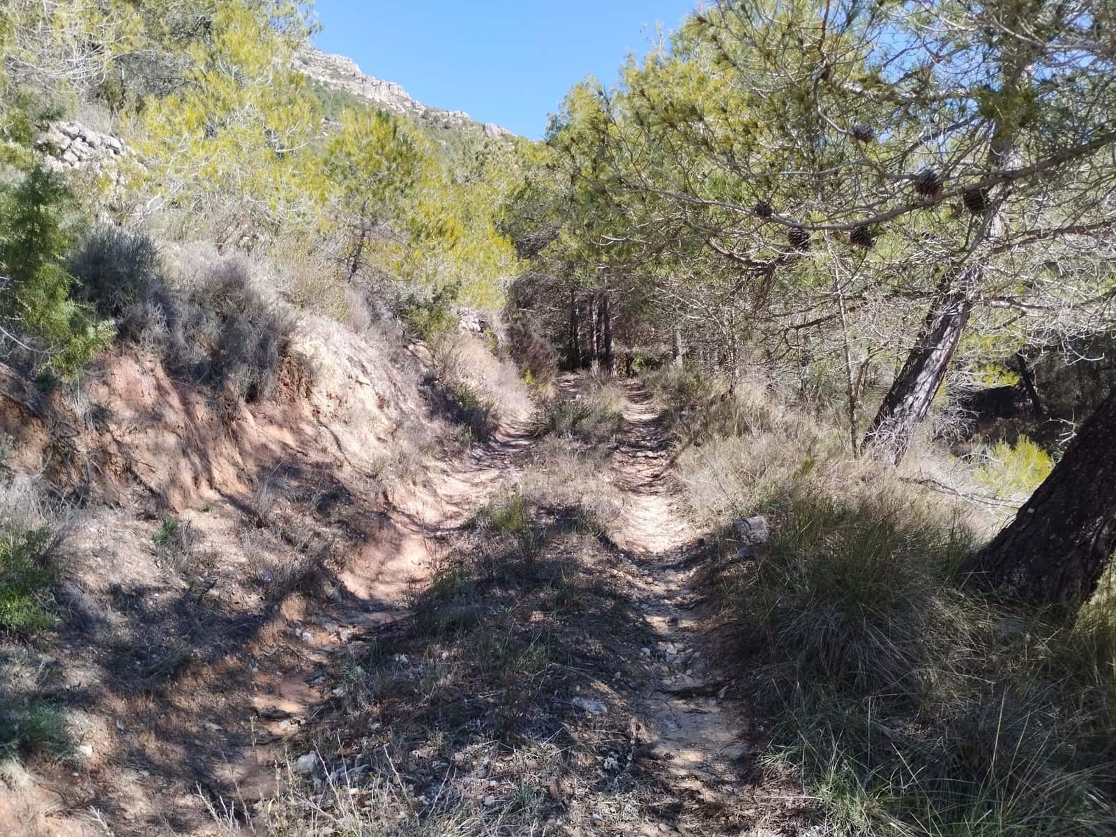 Mark till salu i La Morera de Montsant - 156 000 € (Ref: 9989162)