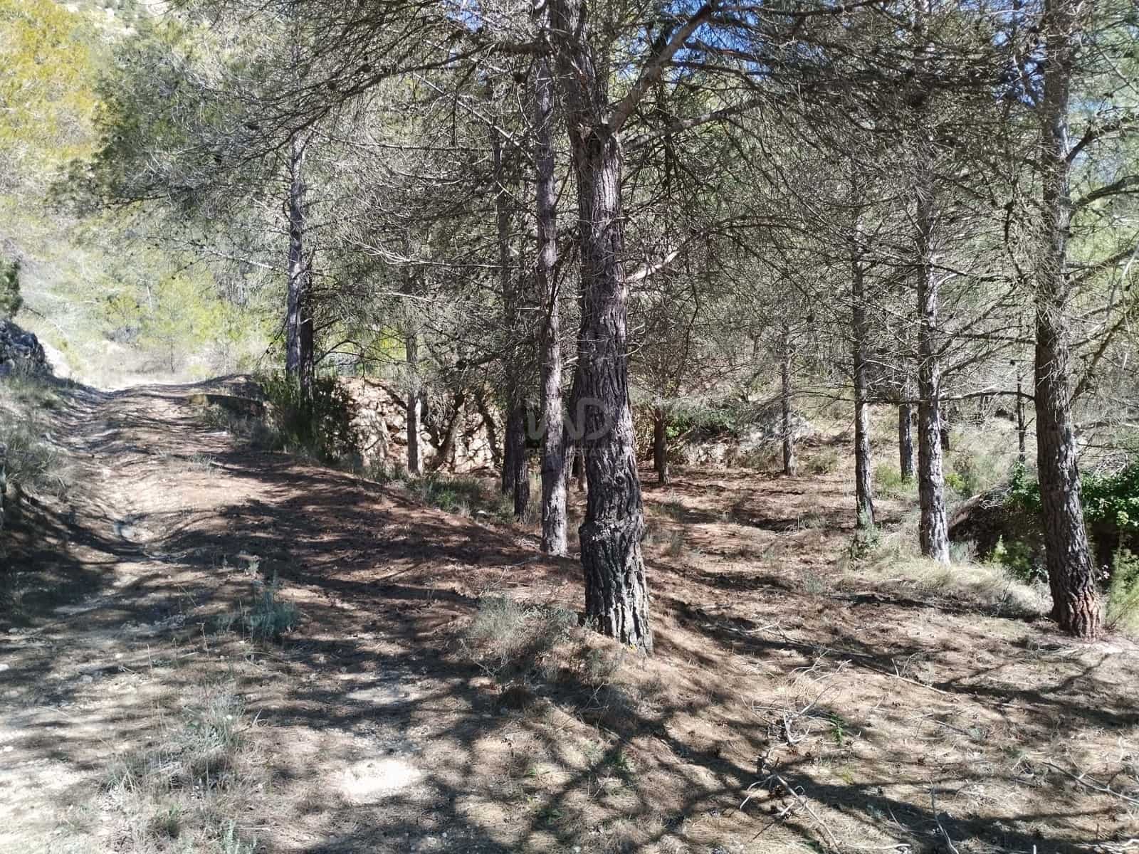 Mark till salu i La Morera de Montsant - 156 000 € (Ref: 9989162)