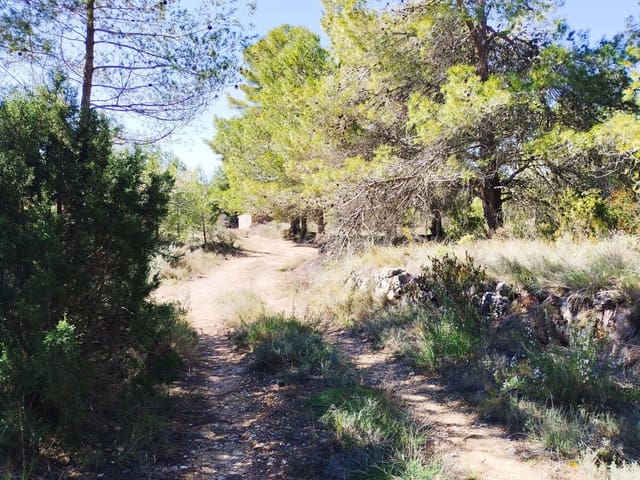 Grunde uden byggetilladelser til salg i La Morera de Montsant - € 156.000 (Ref: 9989162)