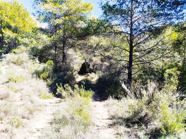 Grunde uden byggetilladelser til salg i La Morera de Montsant - € 156.000 (Ref: 9989162)
