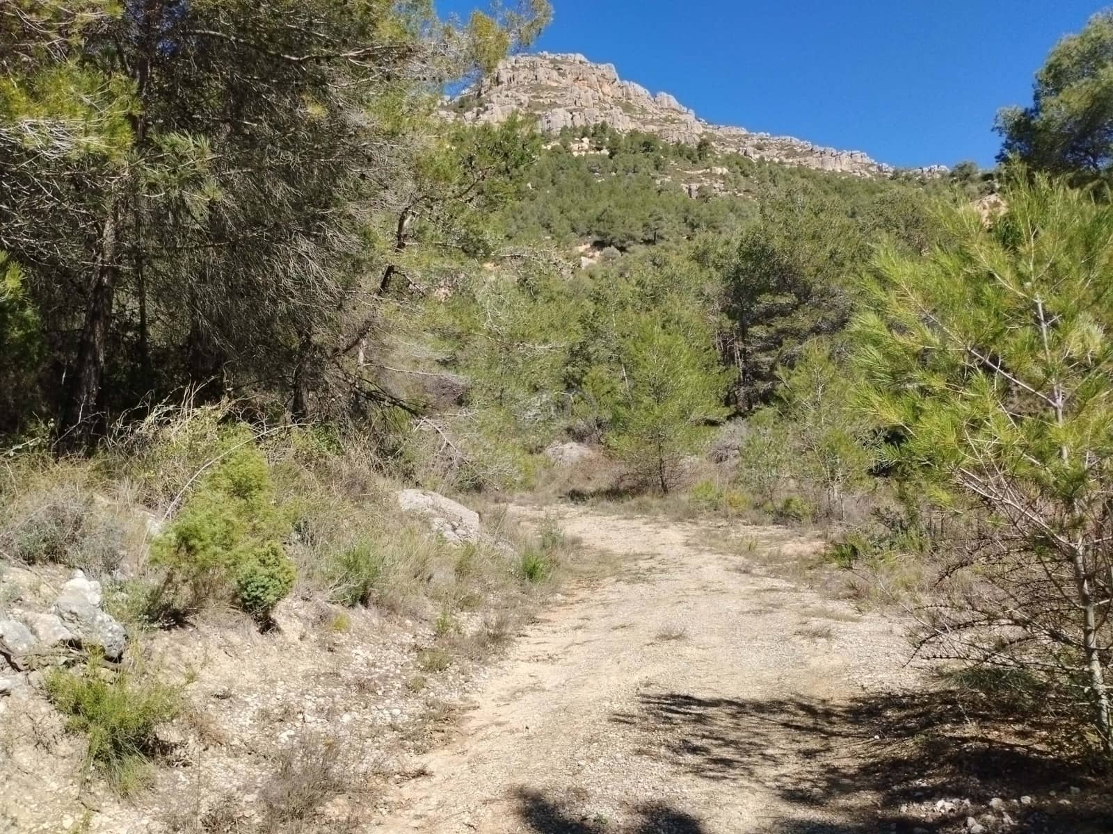 Mark till salu i La Morera de Montsant - 156 000 € (Ref: 9989162)