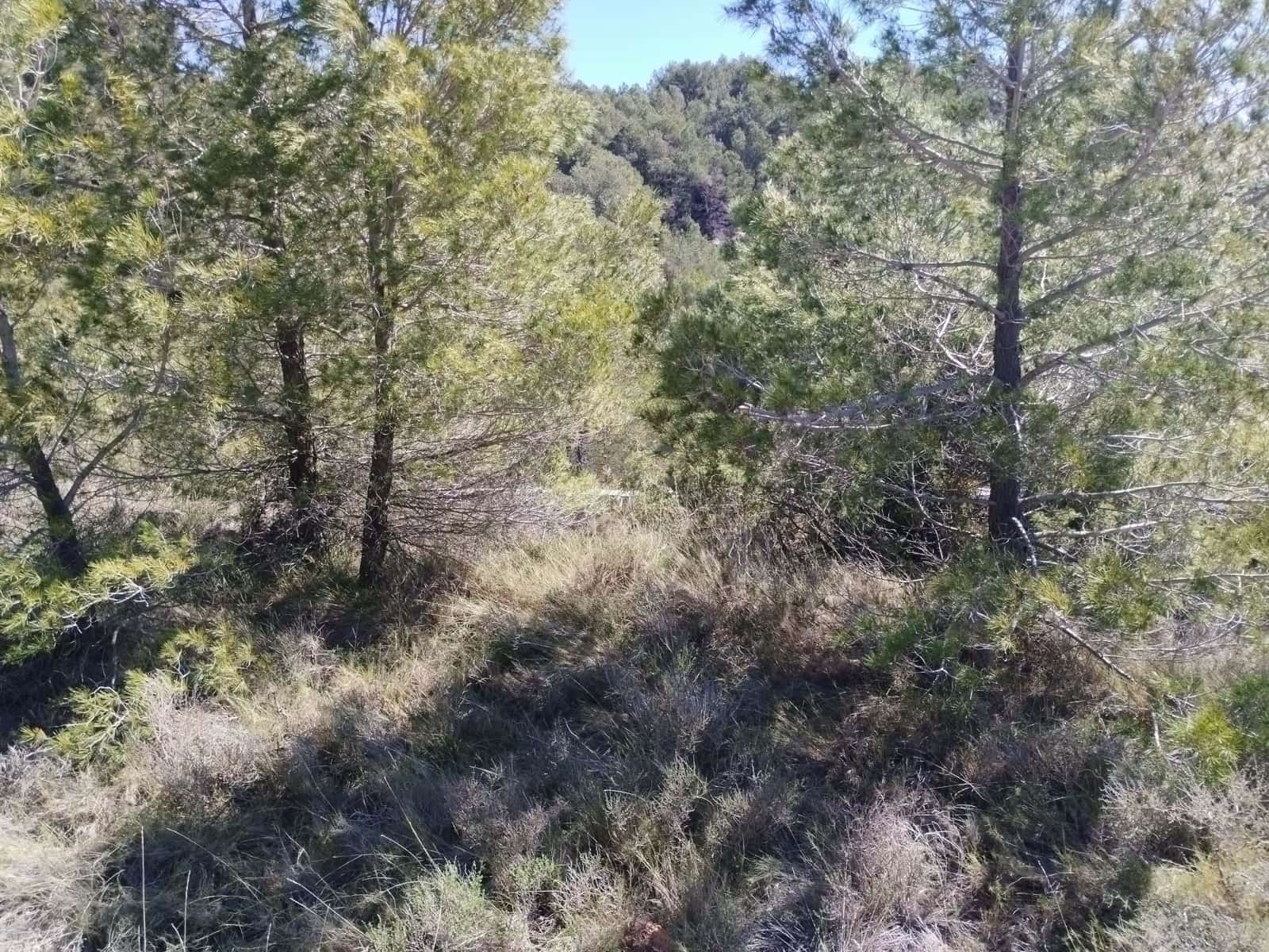 Mark till salu i La Morera de Montsant - 156 000 € (Ref: 9989162)