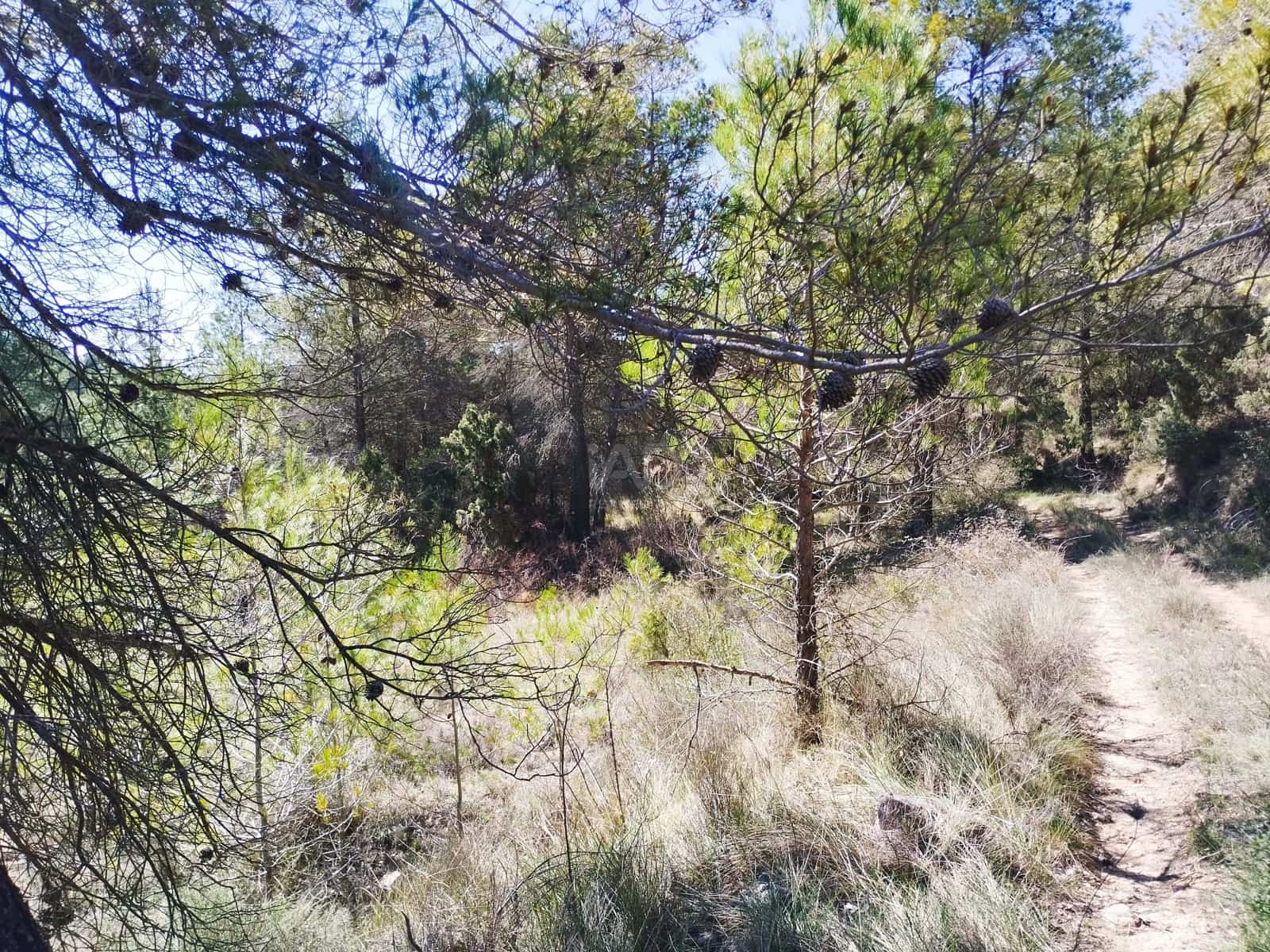 Mark till salu i La Morera de Montsant - 156 000 € (Ref: 9989162)