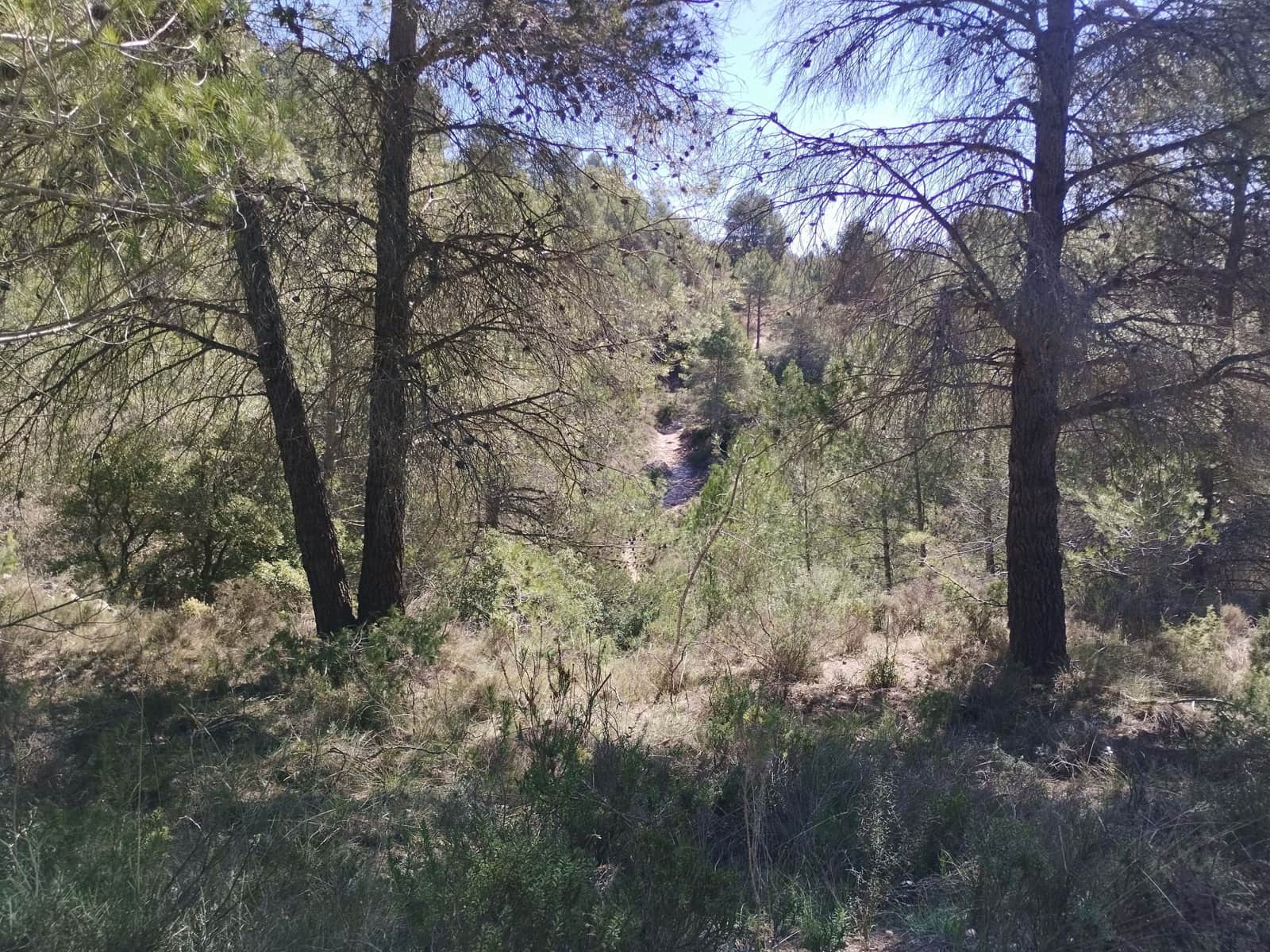 Mark till salu i La Morera de Montsant - 156 000 € (Ref: 9989162)