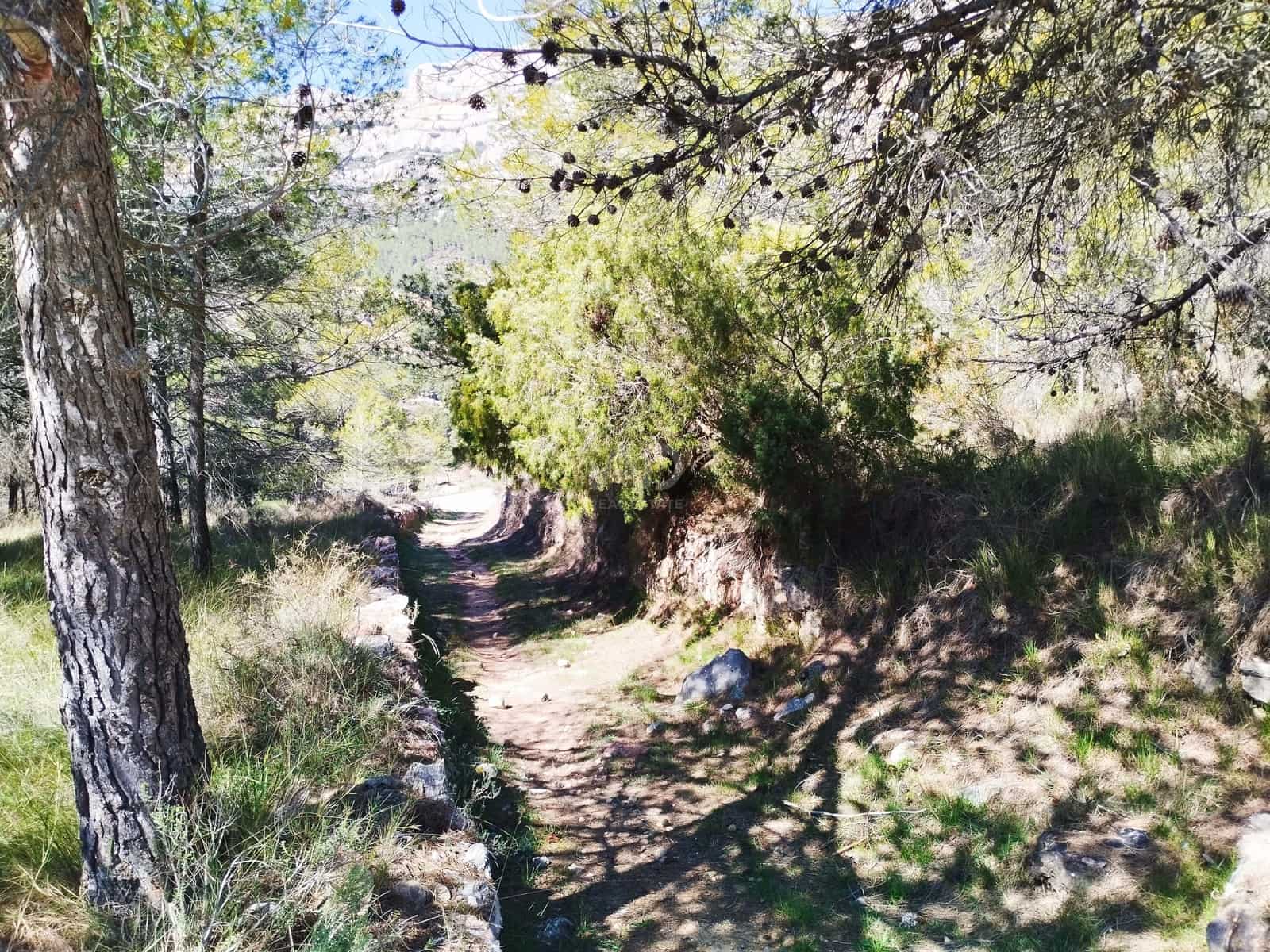 Mark till salu i La Morera de Montsant - 156 000 € (Ref: 9989162)