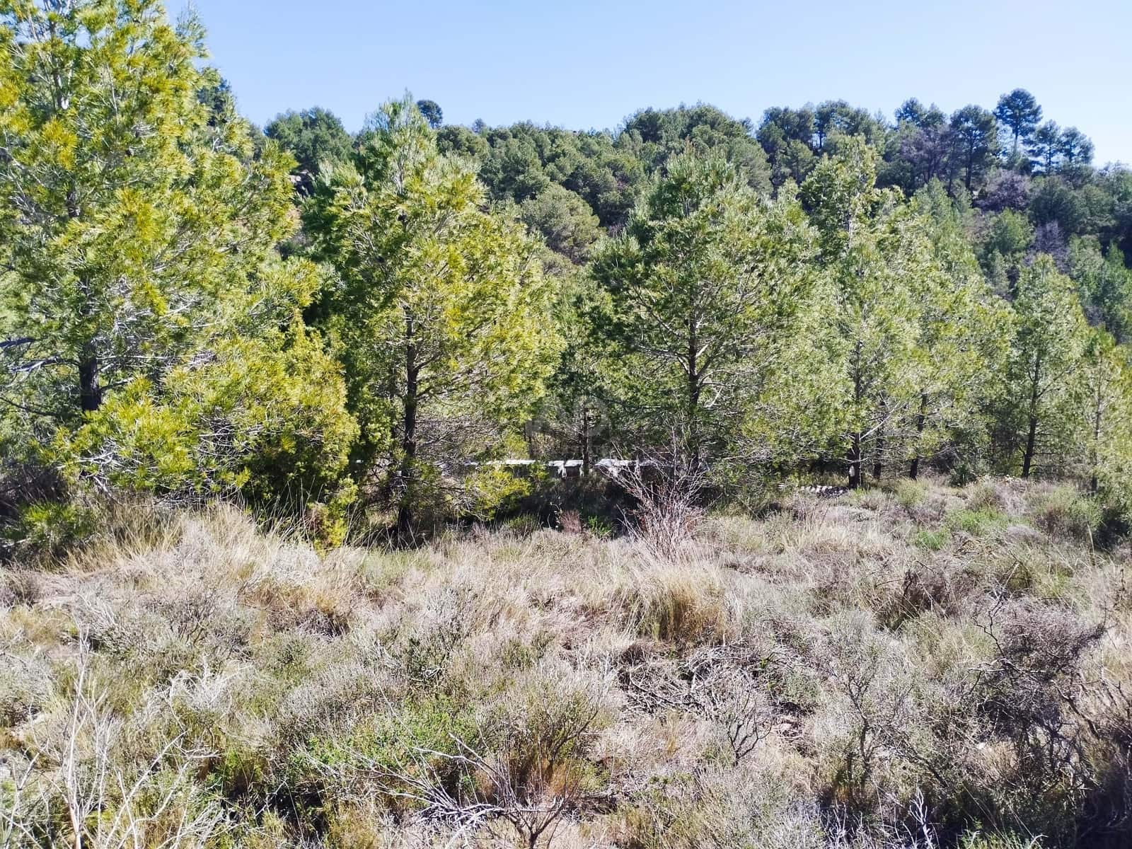 Mark till salu i La Morera de Montsant - 156 000 € (Ref: 9989162)