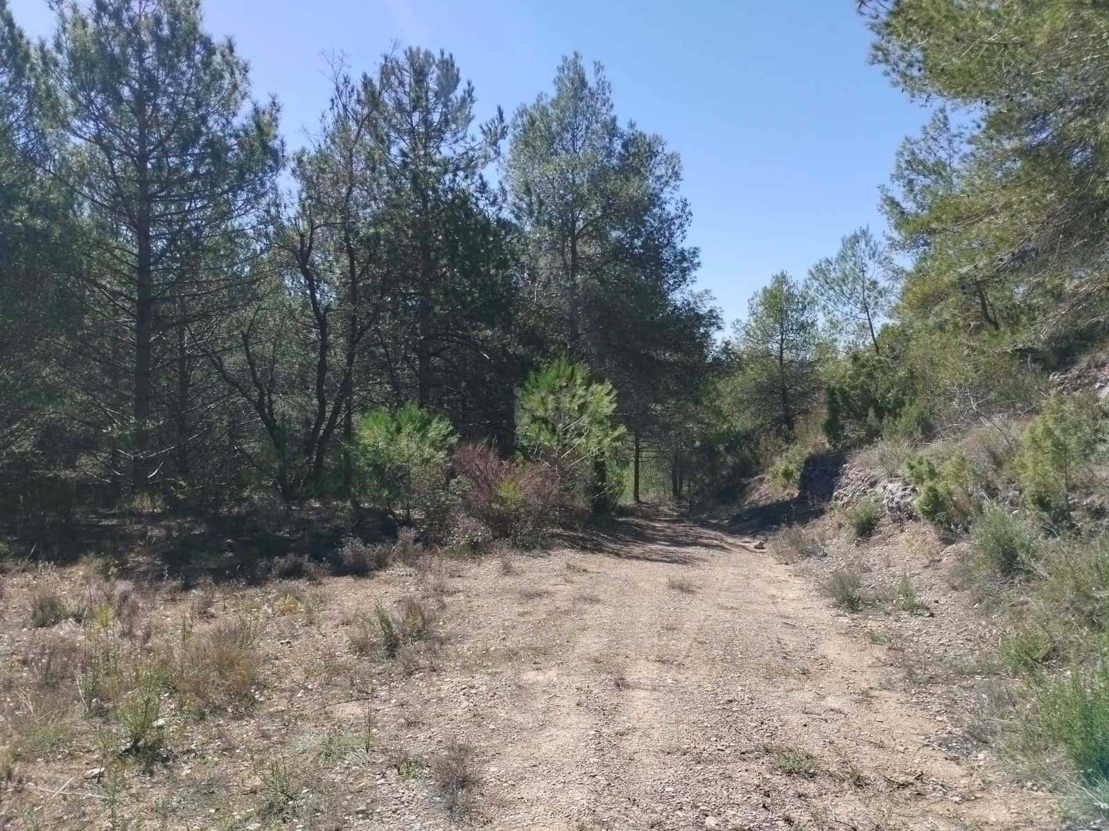Mark till salu i La Morera de Montsant - 156 000 € (Ref: 9989162)