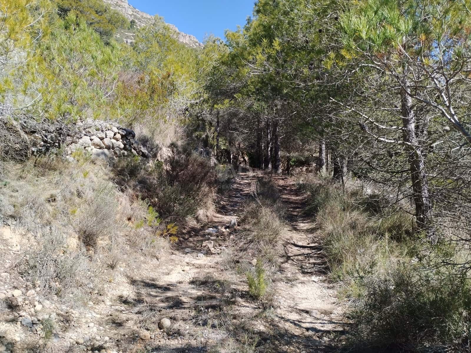 Mark till salu i La Morera de Montsant - 156 000 € (Ref: 9989162)