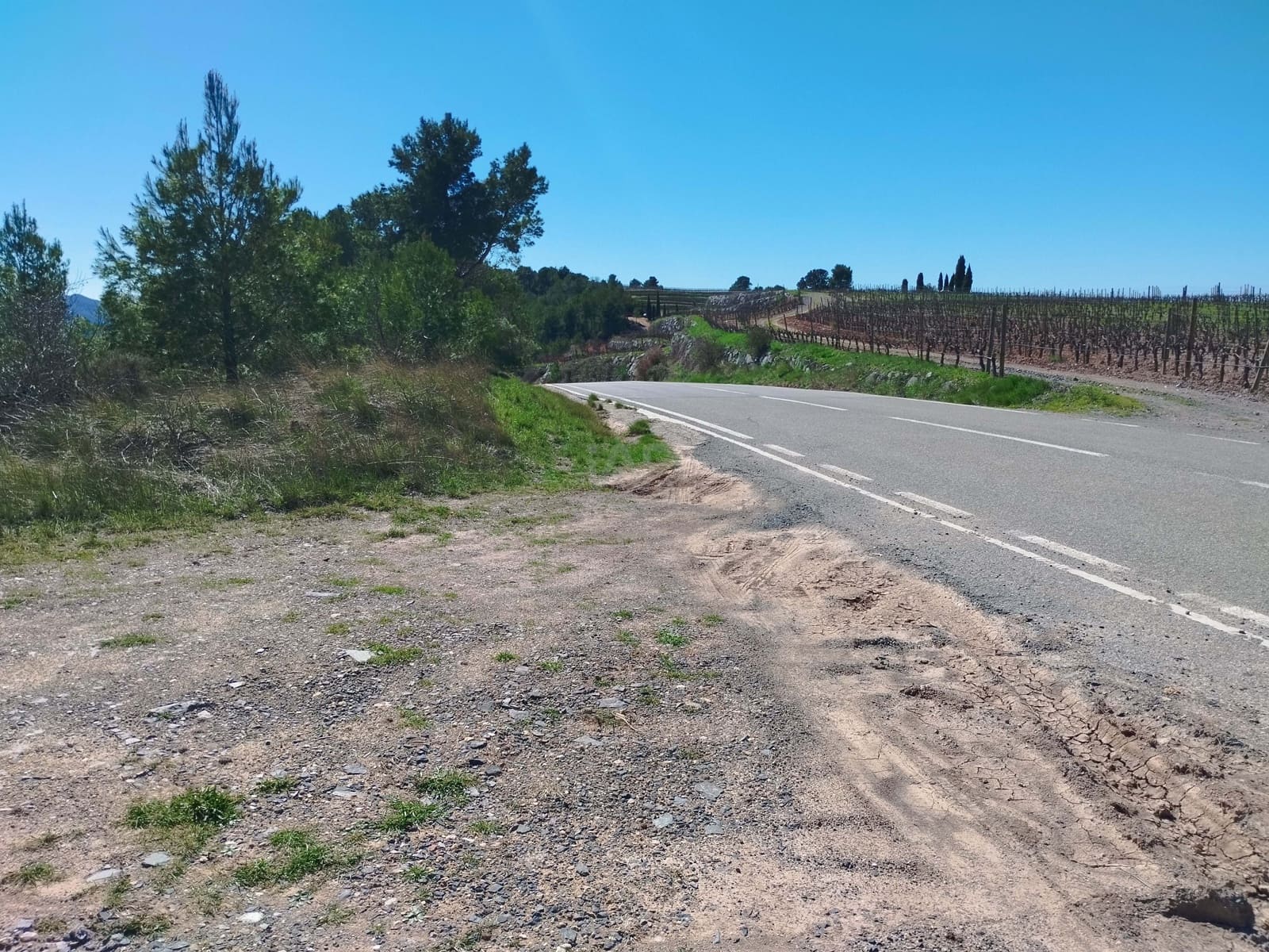 Mark till salu i La Morera de Montsant - 156 000 € (Ref: 9989162)