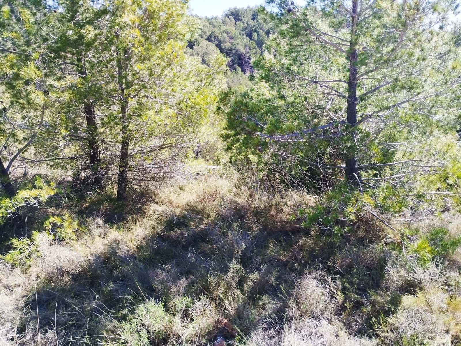Mark till salu i La Morera de Montsant - 156 000 € (Ref: 9989162)