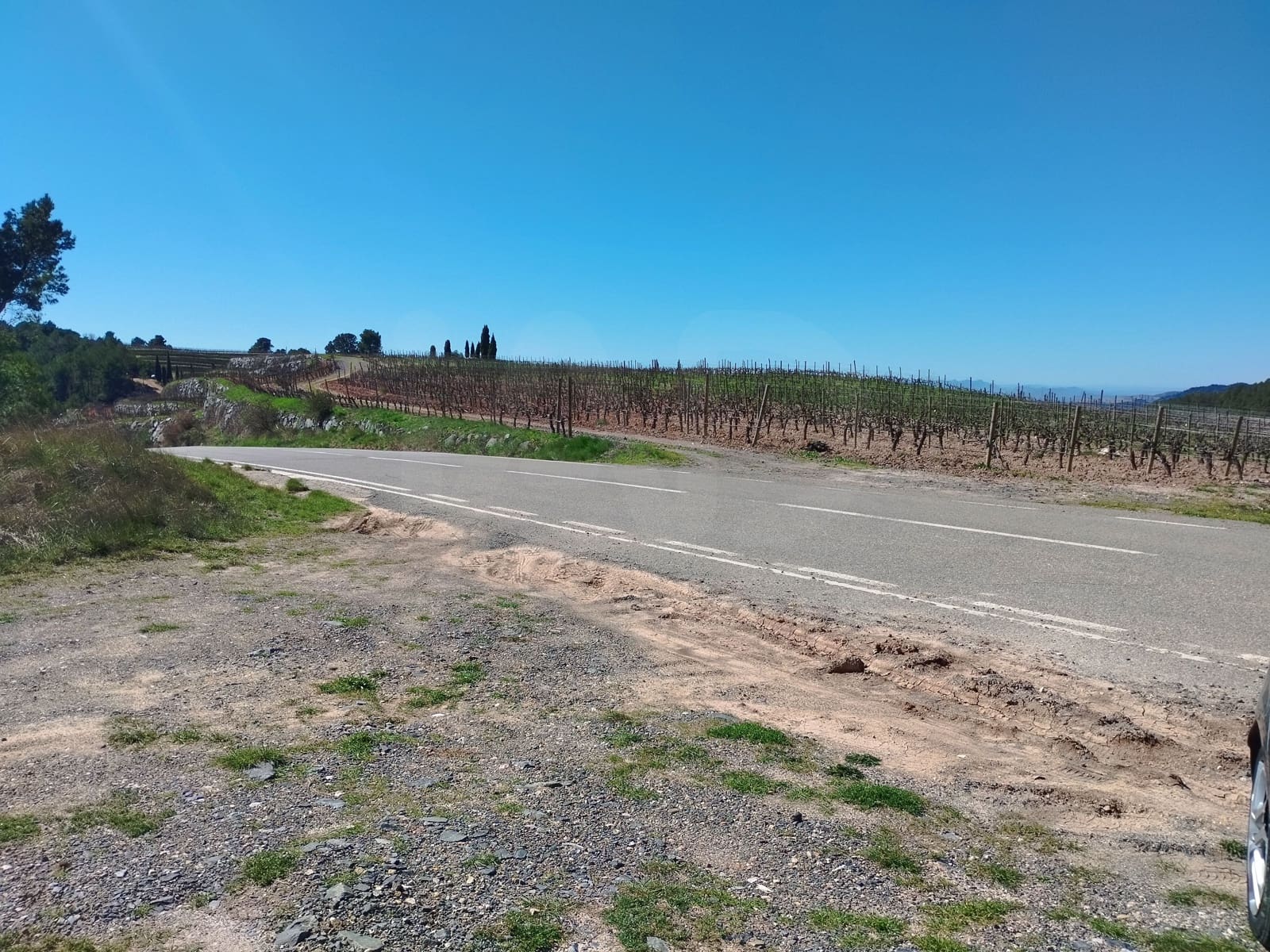 Ubebygd land til salgs i La Morera de Montsant - € 156 000 (Ref: 9989162)