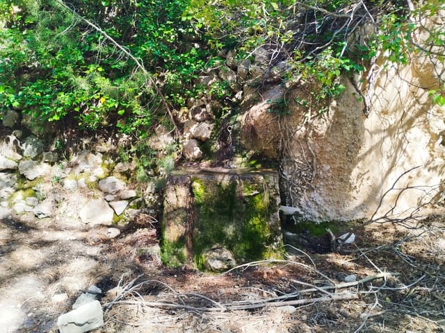 Undeveloped Land for sale in La Morera de Montsant - € 156,000 (Ref: 9989162)
