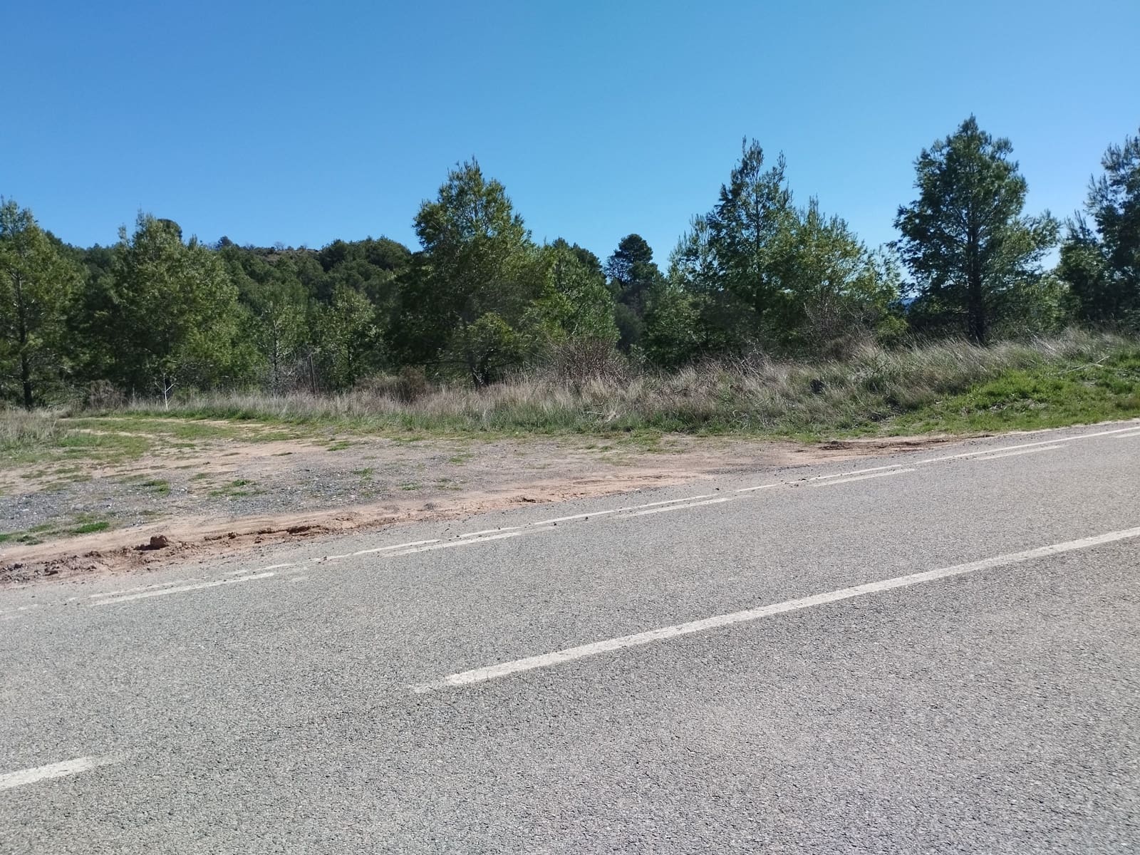 Ubebygd land til salgs i La Morera de Montsant - € 148 000 (Ref: 9989162)