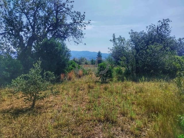Landgrundstück zu verkaufen in Roquetes - 129.249 € (Ref: 9989164)