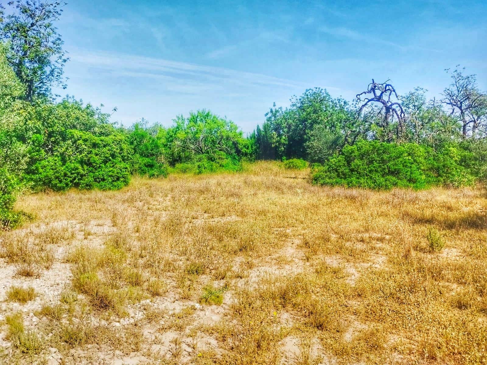 Ubebygd land til salgs i Roquetes - € 129 249 (Ref: 9989164)