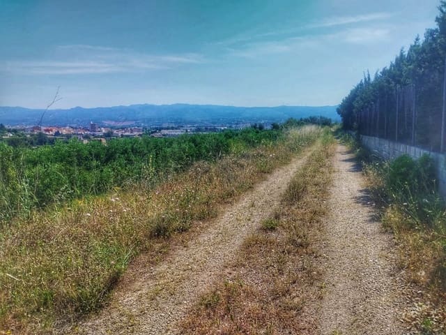Teren niezagospodarowany na sprzedaż w Roquetes - 129 249 € (Ref: 9989164)