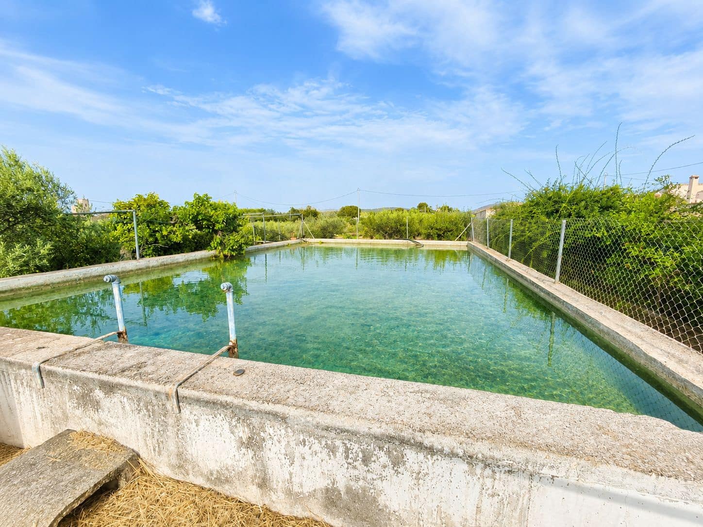 6 soveværelse Finca/Landehus til salg i Cehegin med swimmingpool garage - € 249.900 (Ref: 9989165)