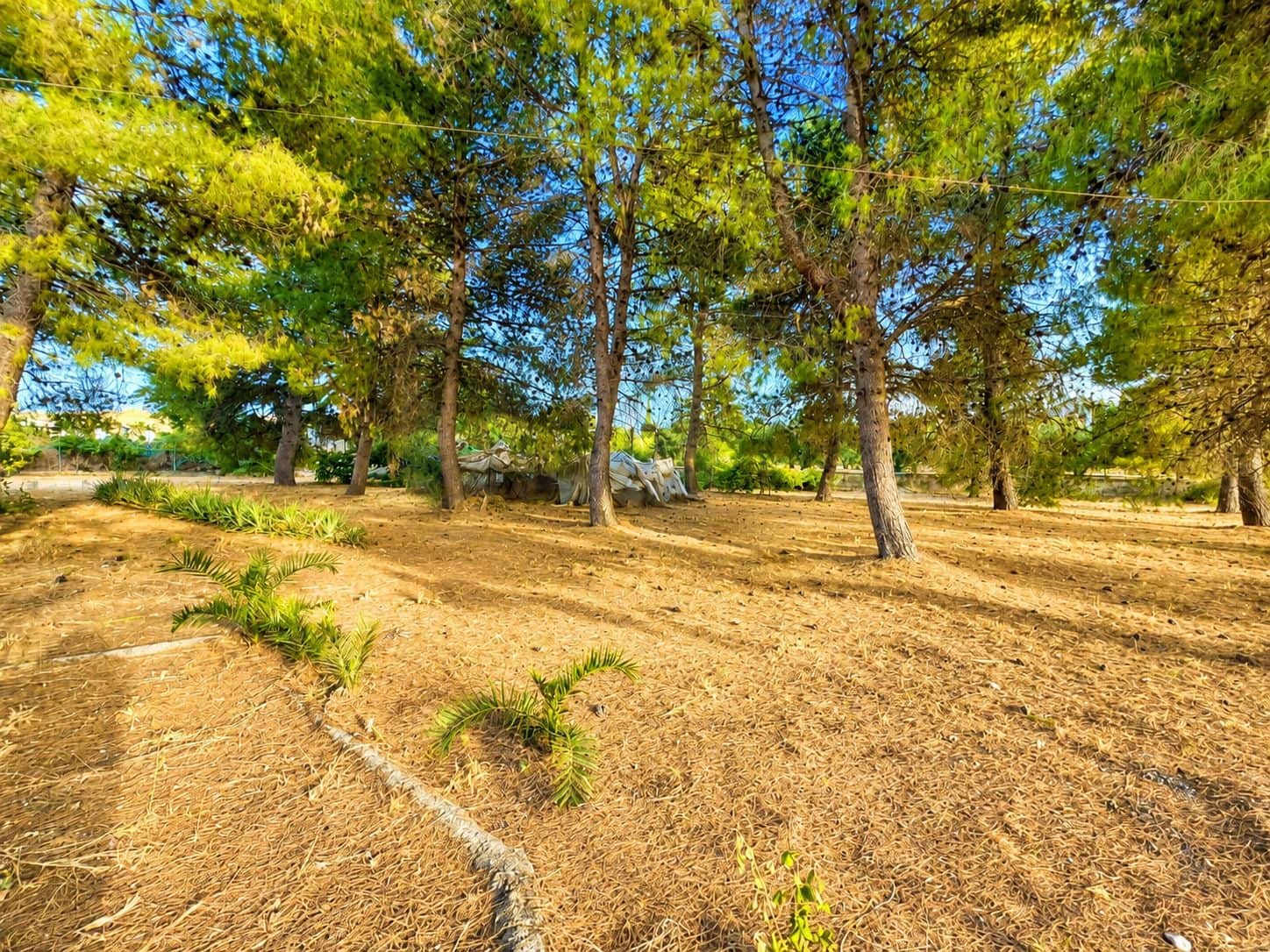 6 soveværelse Finca/Landehus til salg i Cehegin med swimmingpool garage - € 249.900 (Ref: 9989165)