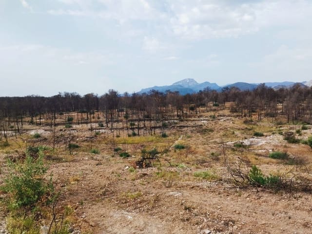 Grond te koop in Xerta - € 35.000 (Ref: 9989166)