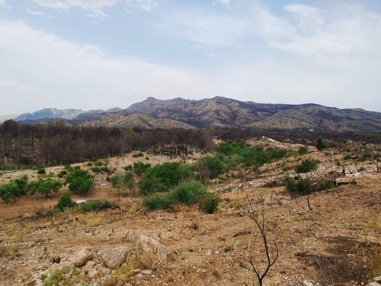 Terreno Non Edificato in vendita in Tarragona citta - 35.000 € (Rif: 9989166)