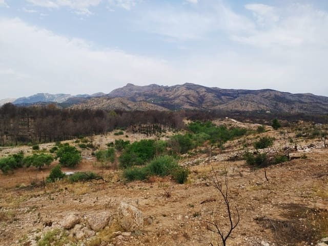 Grond te koop in Xerta - € 35.000 (Ref: 9989166)