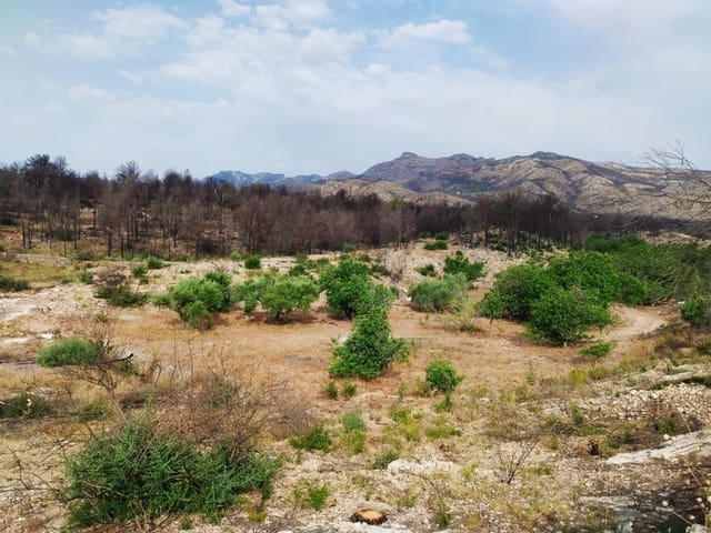 Grond te koop in Xerta - € 35.000 (Ref: 9989166)