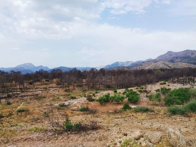 Grond te koop in Xerta - € 35.000 (Ref: 9989166)