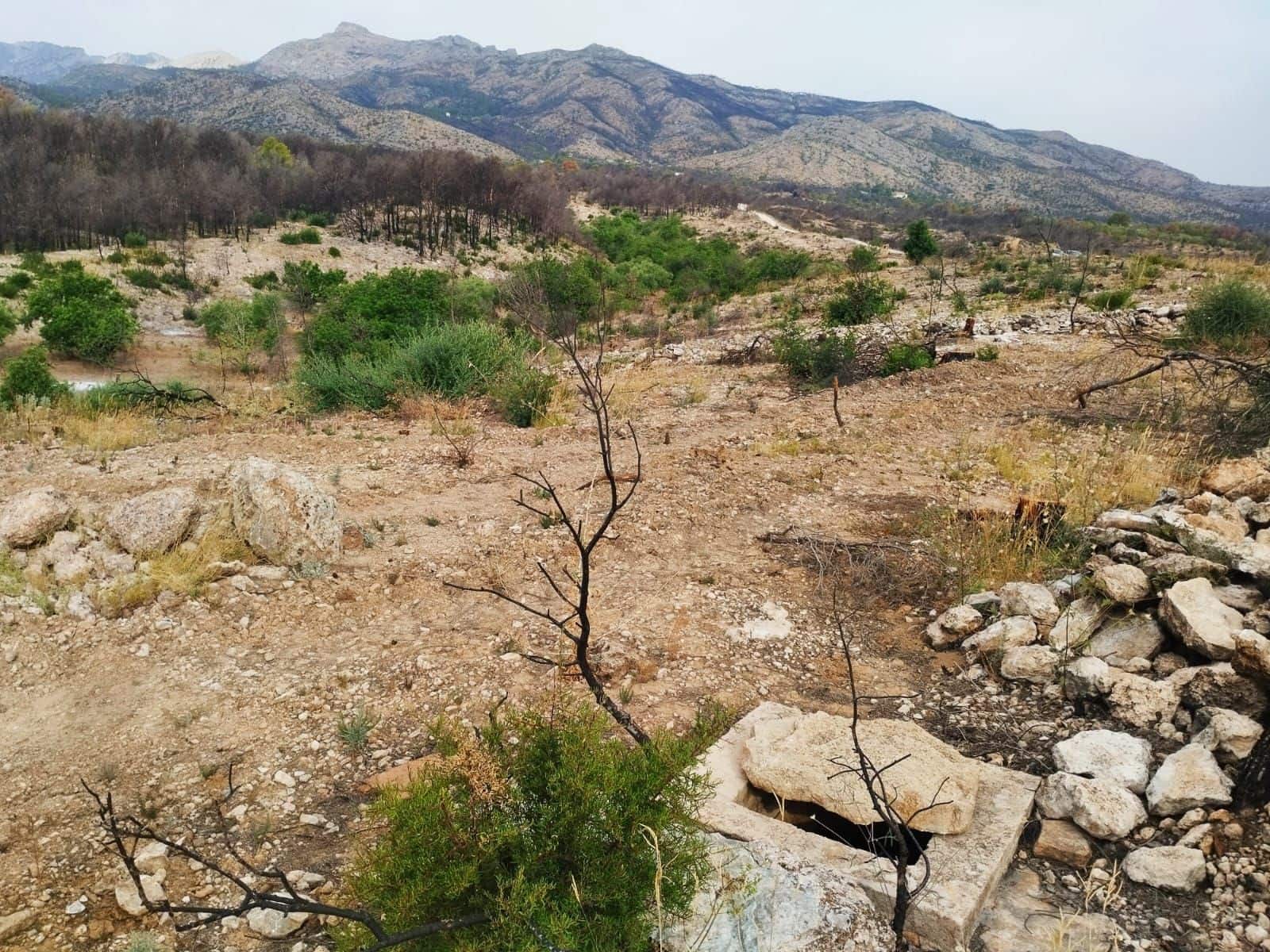 Terreno Non Edificato in vendita in Tarragona citta - 35.000 € (Rif: 9989166)