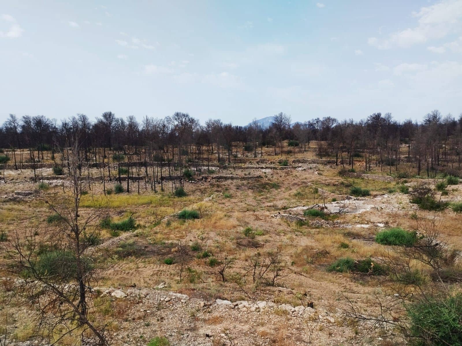 Terreno Non Edificato in vendita in Tarragona citta - 35.000 € (Rif: 9989166)