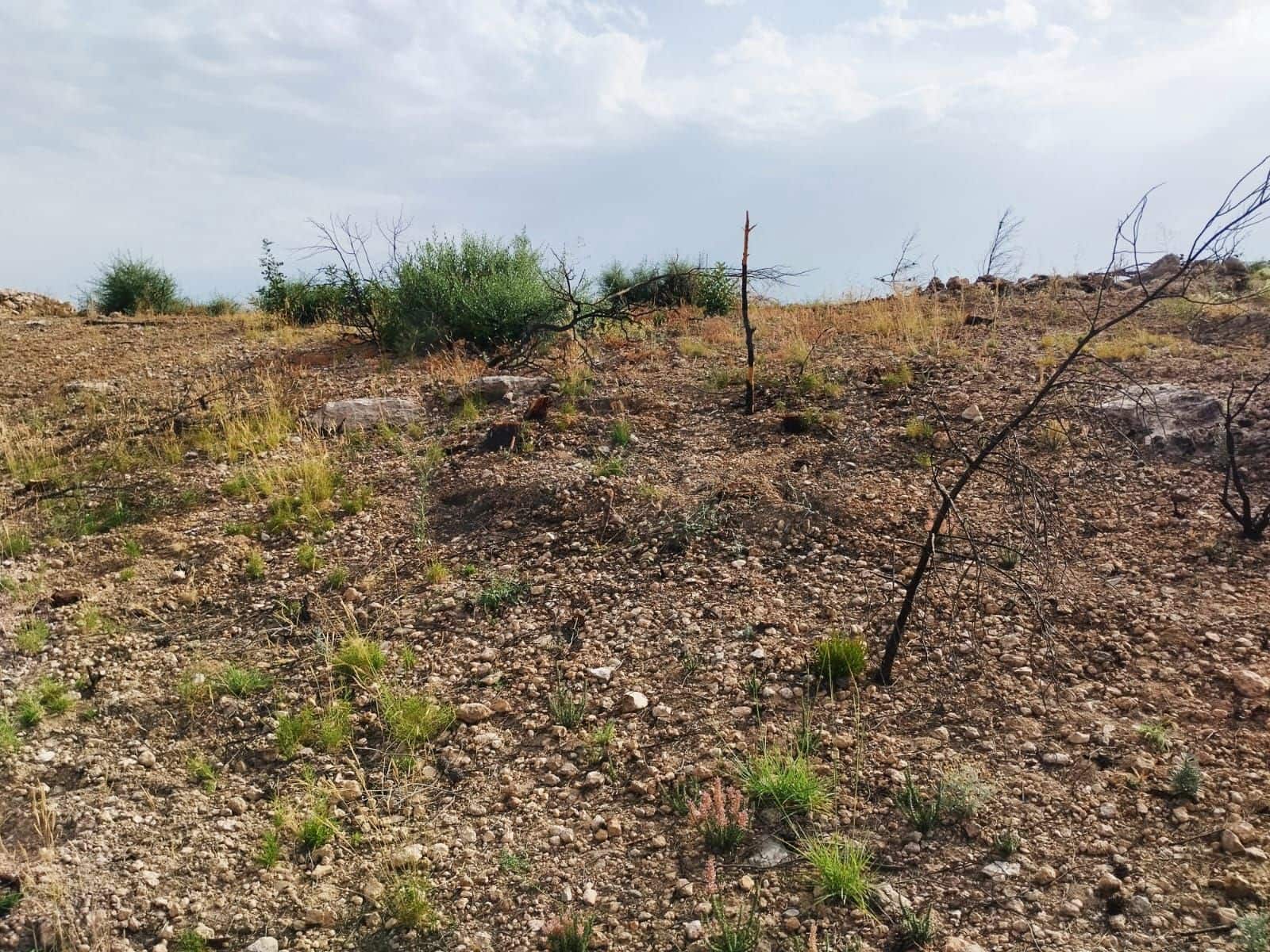Terreno Non Edificato in vendita in Tarragona citta - 35.000 € (Rif: 9989166)