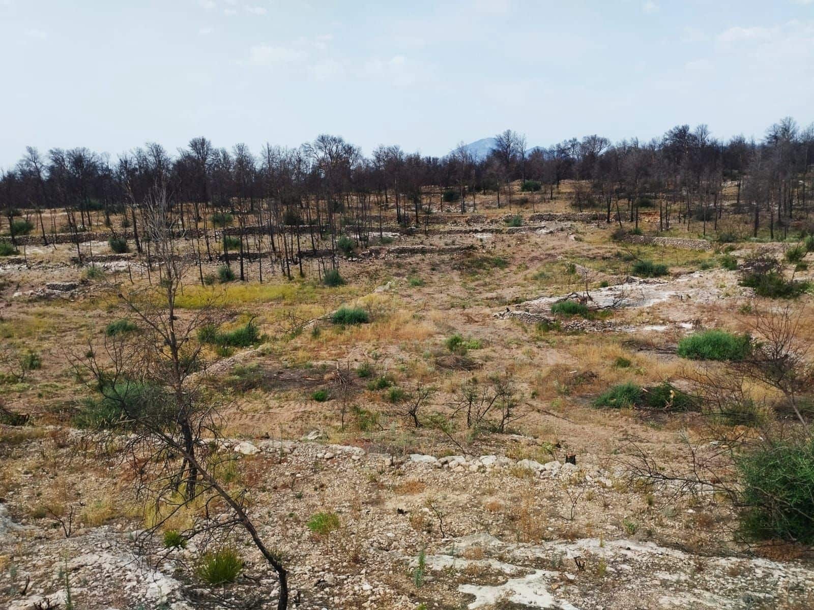 Terreno Non Edificato in vendita in Tarragona citta - 35.000 € (Rif: 9989166)