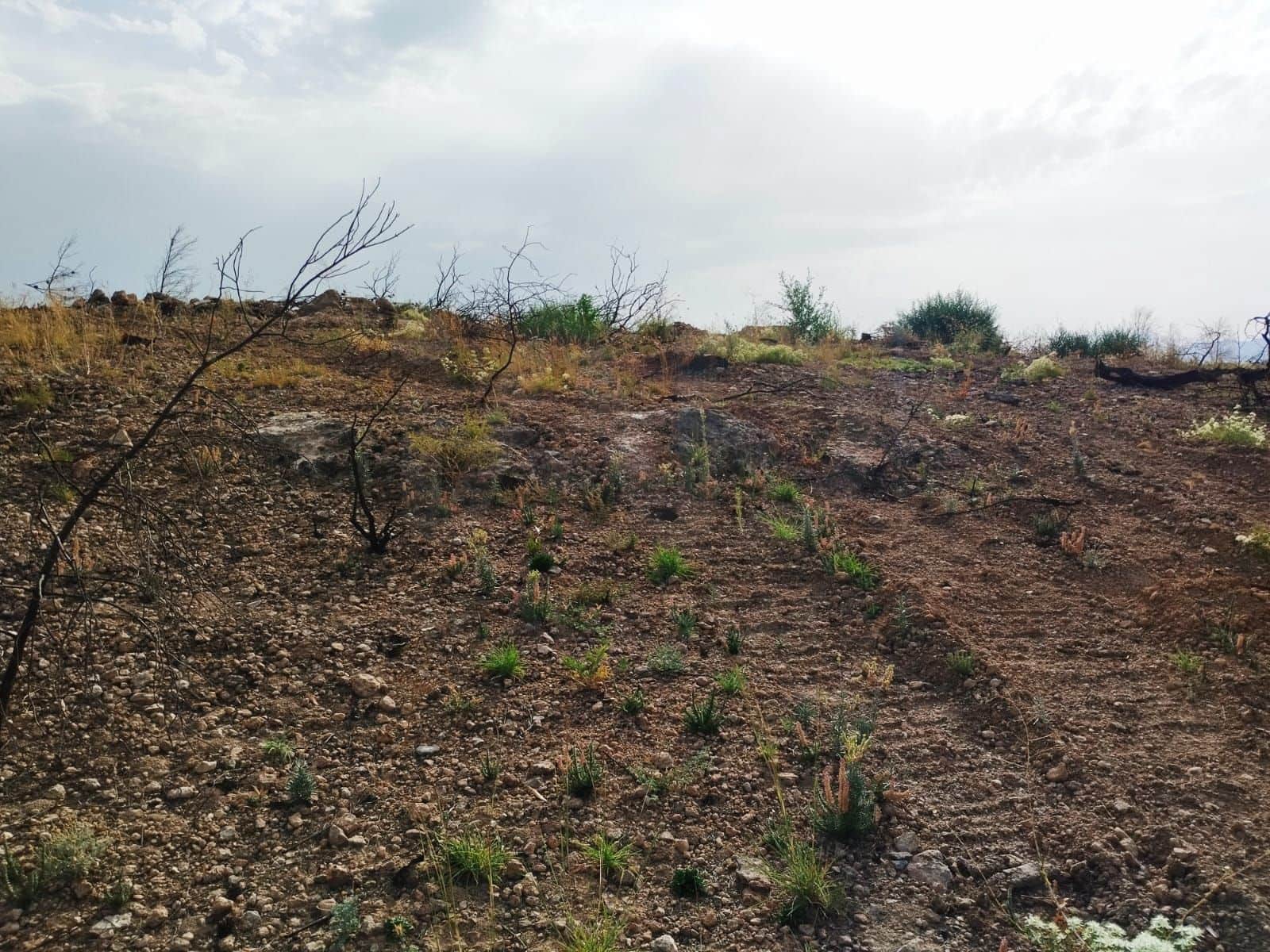 Terreno Non Edificato in vendita in Tarragona citta - 35.000 € (Rif: 9989166)