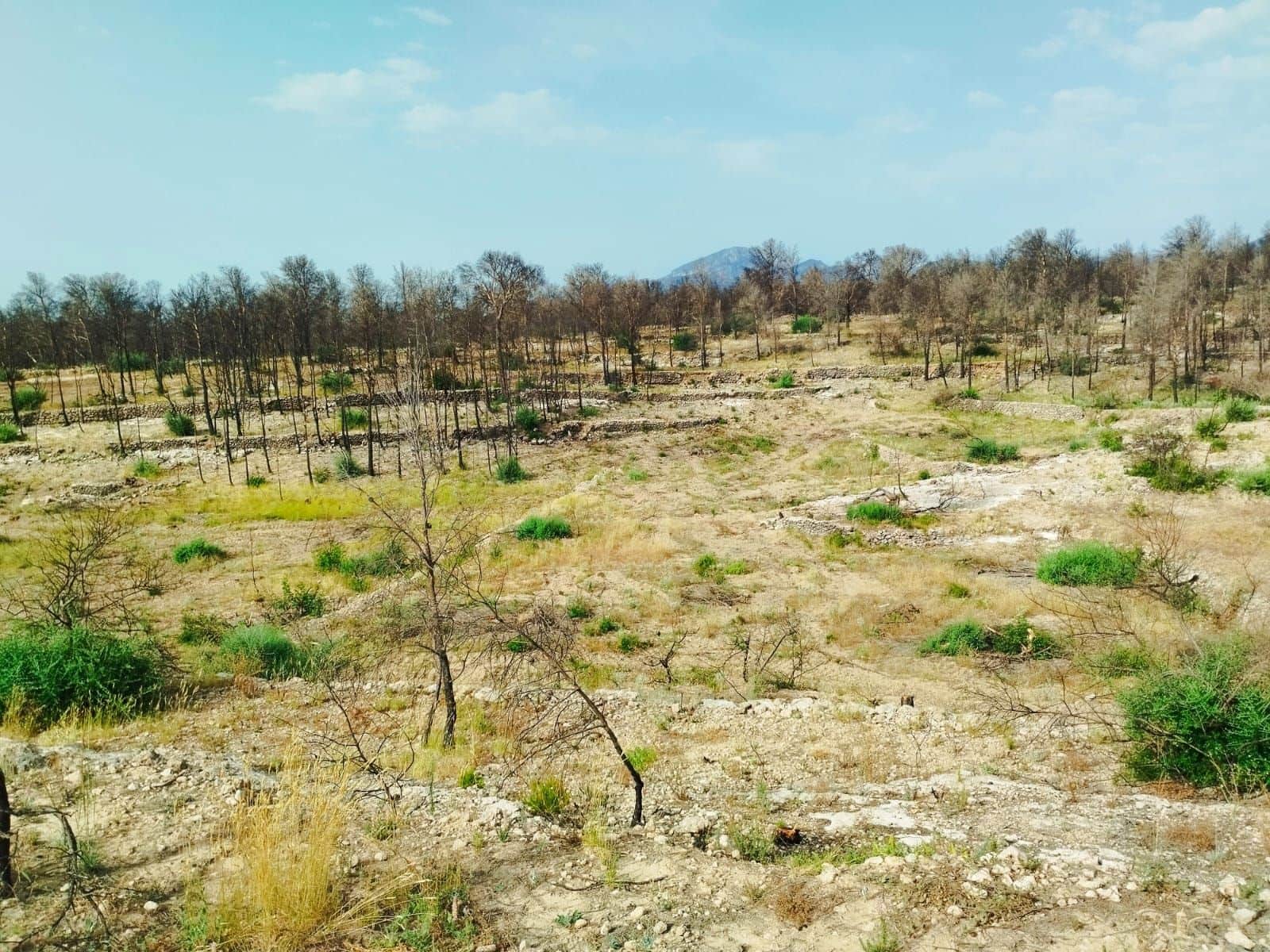 Terreno Non Edificato in vendita in Tarragona citta - 35.000 € (Rif: 9989166)