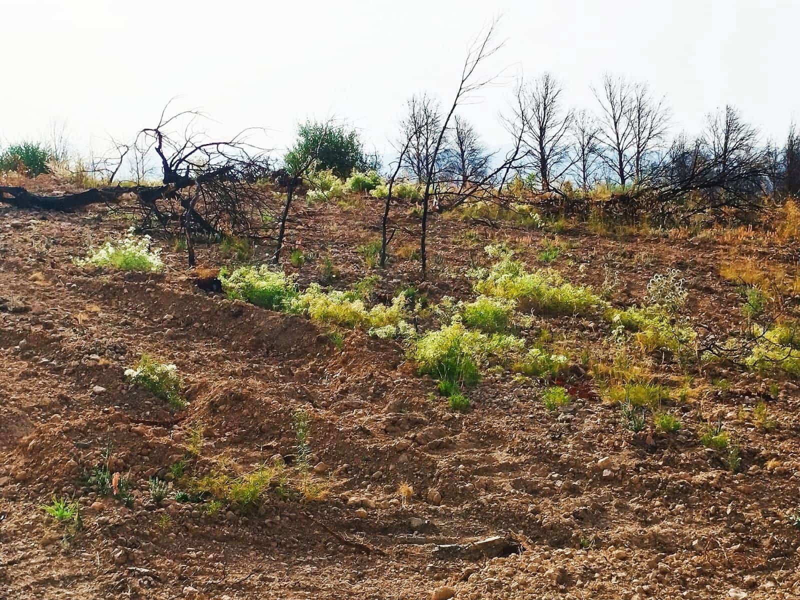 Terreno Non Edificato in vendita in Tarragona citta - 35.000 € (Rif: 9989166)