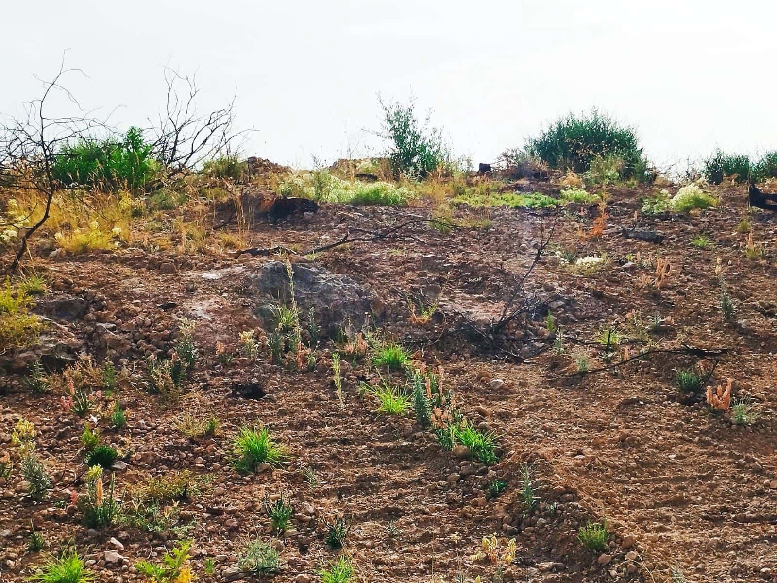 Terreno Non Edificato in vendita in Tarragona citta - 35.000 € (Rif: 9989166)