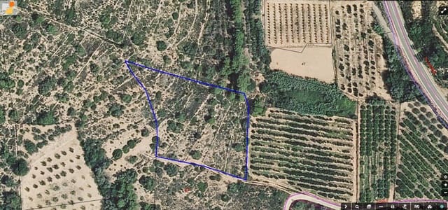 Ubebygd land til salgs i Tarragona by - € 60 000 (Ref: 9989167)