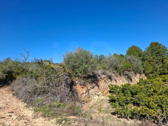 Ubebygd land til salgs i Tarragona by - € 60 000 (Ref: 9989167)