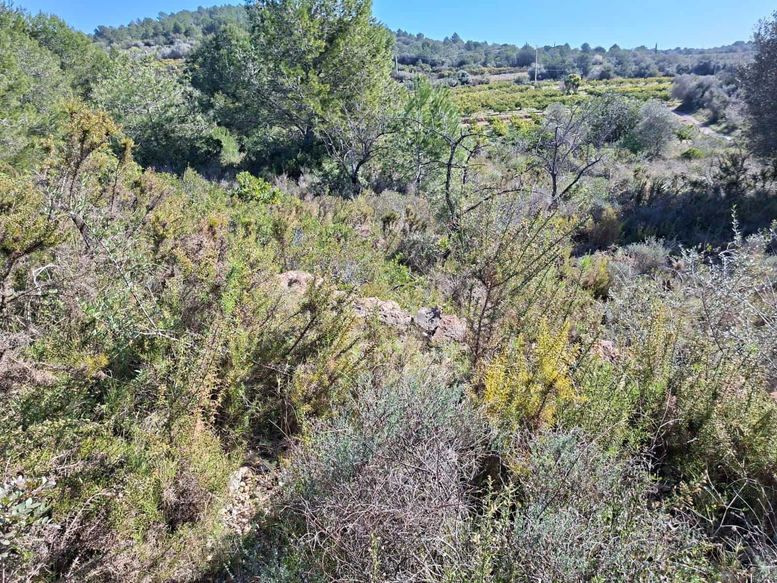 Rakentamaton maa myytävänä paikassa Tarragona kaupunki - 60 000 € (Ref: 9989167)