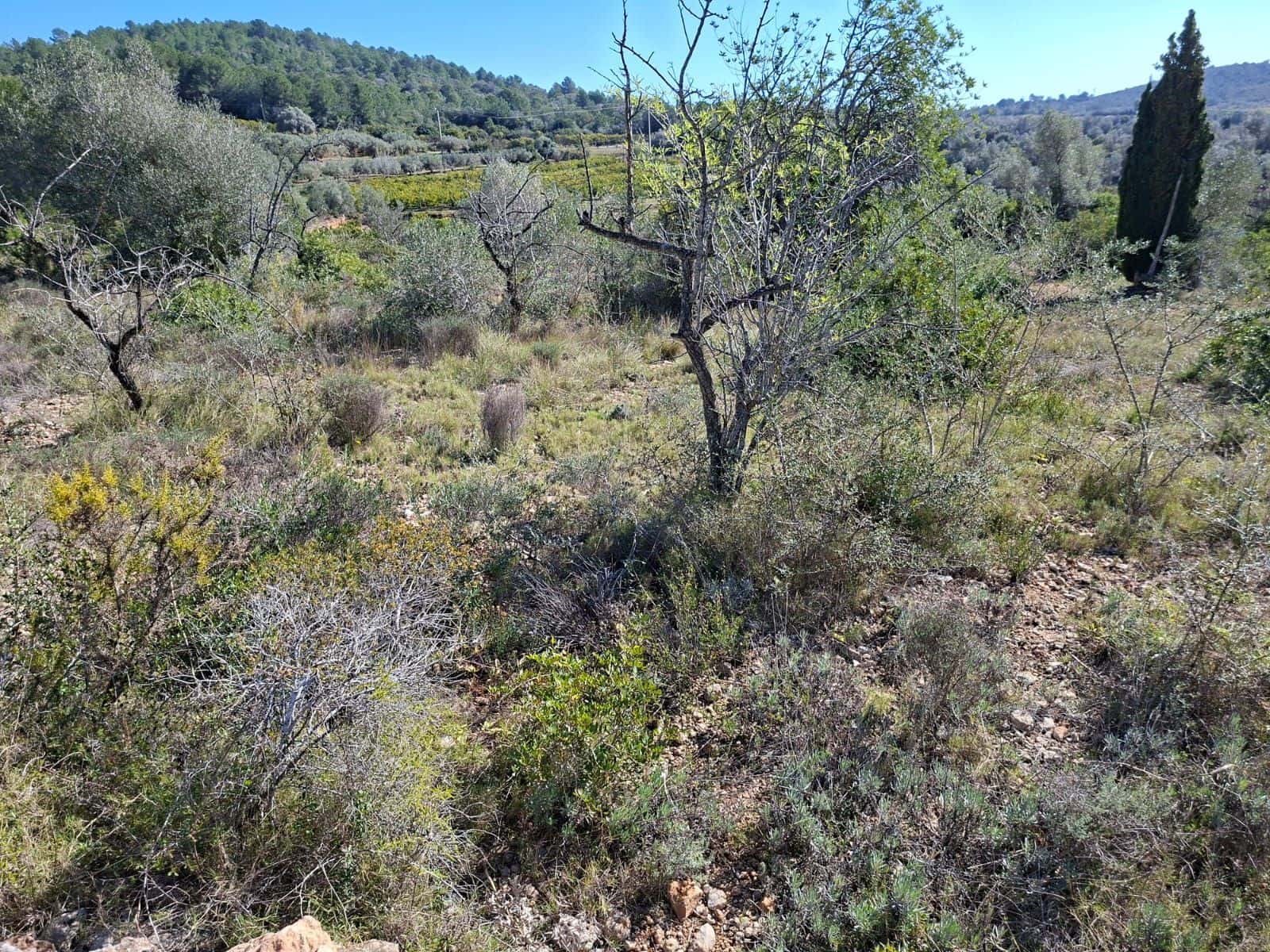 Rakentamaton maa myytävänä paikassa Tarragona kaupunki - 60 000 € (Ref: 9989167)