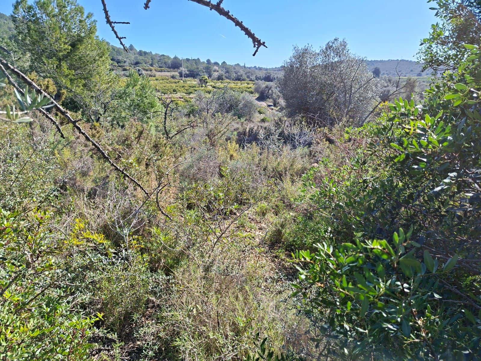 Rakentamaton maa myytävänä paikassa Tarragona kaupunki - 60 000 € (Ref: 9989167)