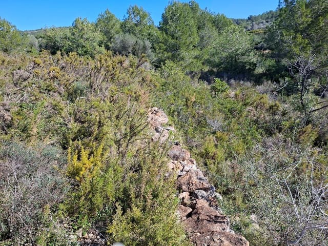 Ubebygd land til salgs i Tarragona by - € 60 000 (Ref: 9989167)