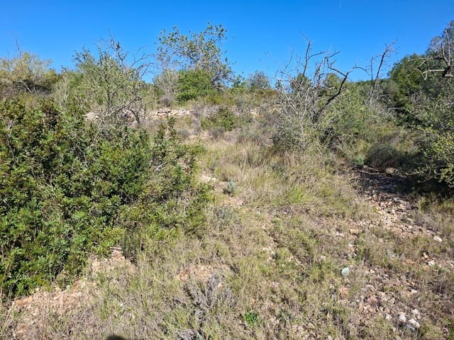 Ubebygd land til salgs i Tarragona by - € 60 000 (Ref: 9989167)