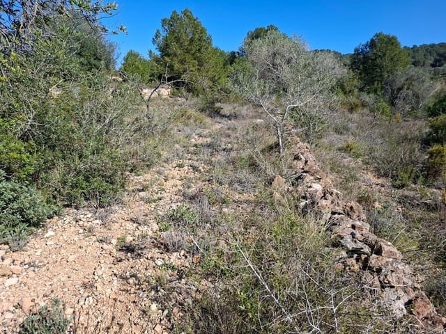 Ubebygd land til salgs i Tarragona by - € 60 000 (Ref: 9989167)