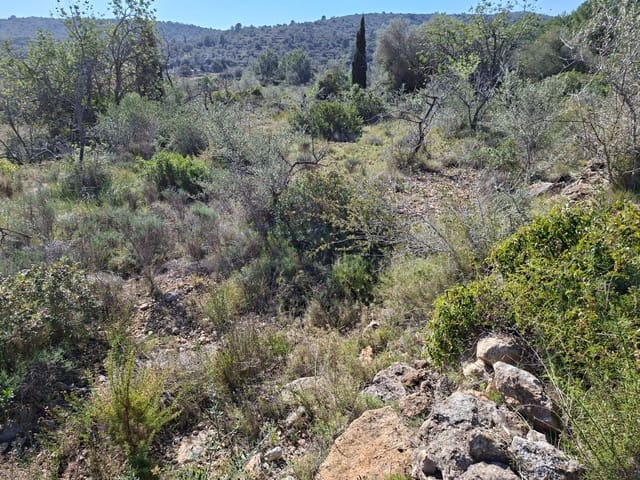 Ubebygd land til salgs i Tarragona by - € 60 000 (Ref: 9989167)