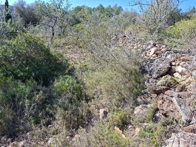 Ubebygd land til salgs i Tarragona by - € 60 000 (Ref: 9989167)
